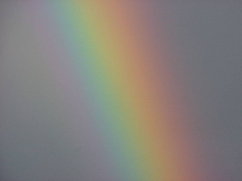 regenbogen02