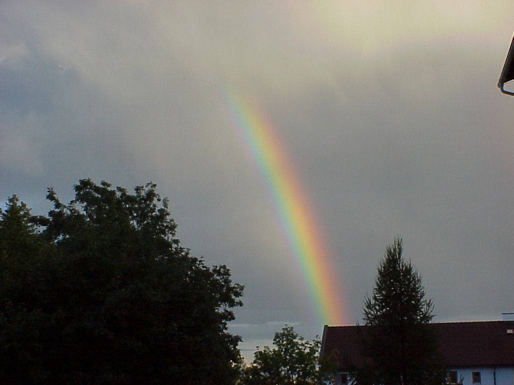 regenbogen03