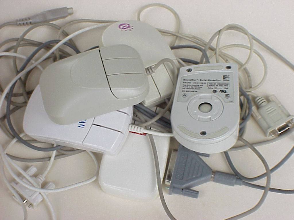 maus 25