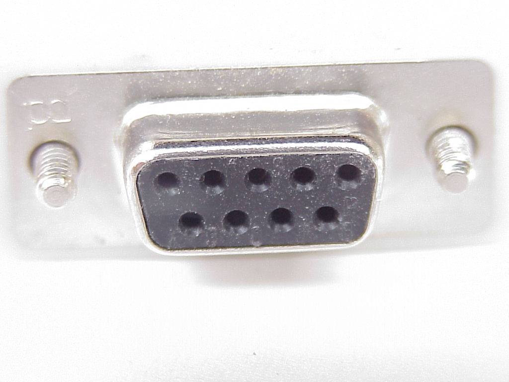 stecker 11