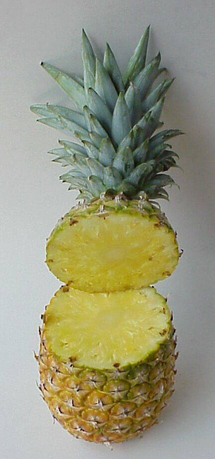 ananas 16