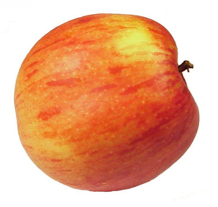 apfel 01