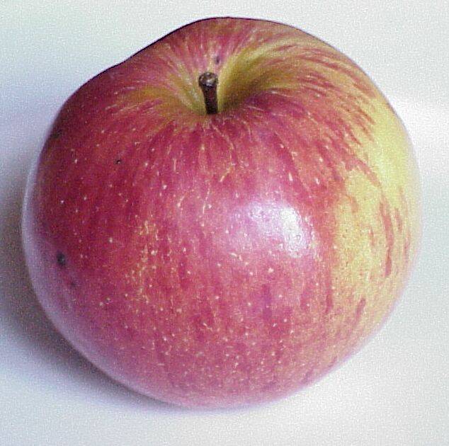 apfel 08