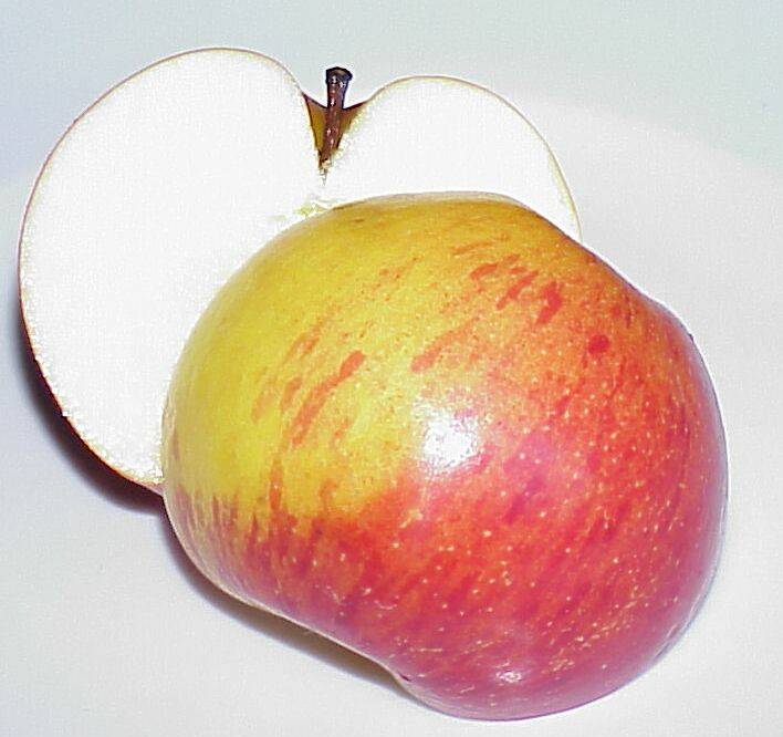 apfel 11