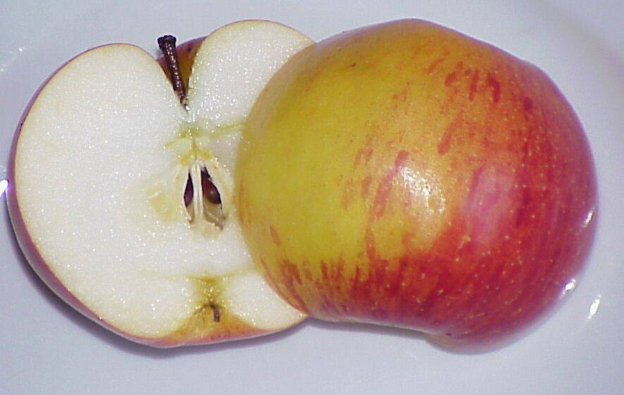 apfel 13