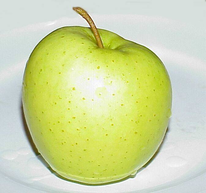 apfel 17