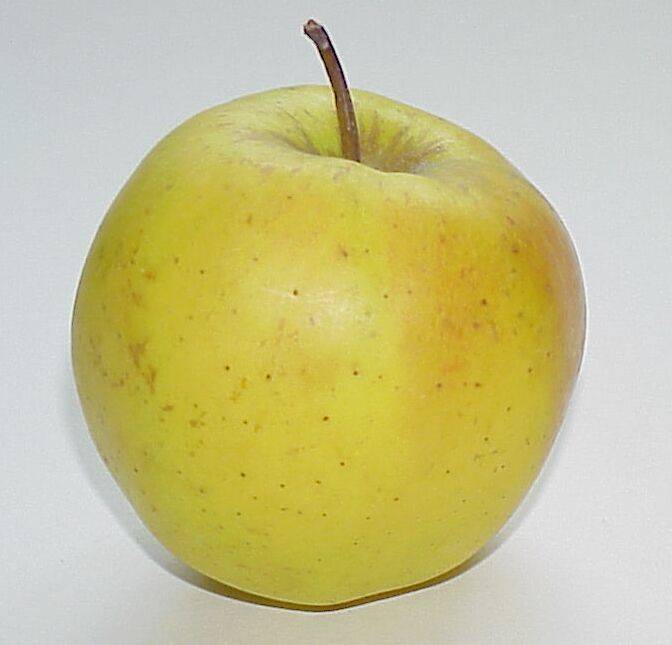 apfel 44