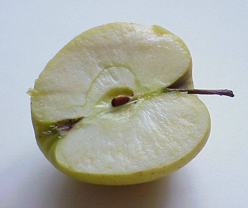 apfel 47