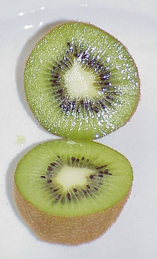 kiwi 05