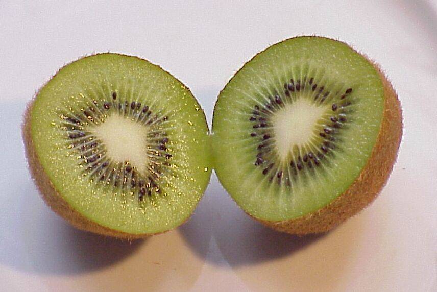 kiwi 08