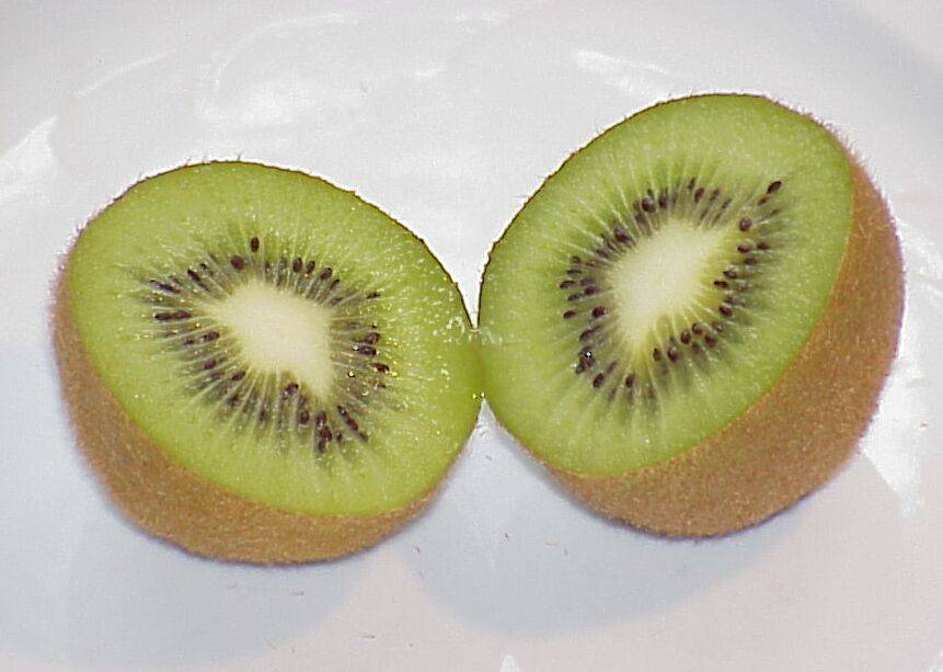 kiwi 09