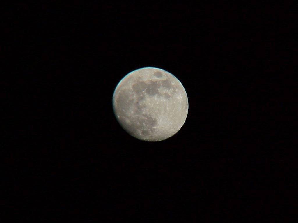 mond 44