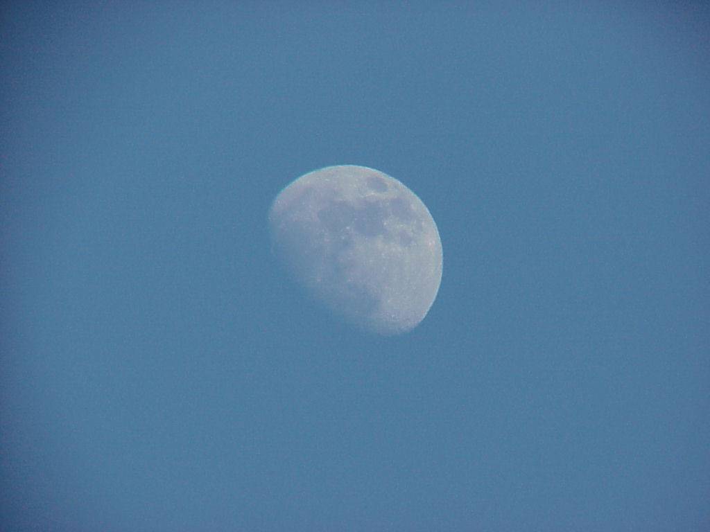 mond 70