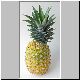 ananas 09