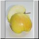 apfel 50 apfel 50