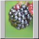 brombeeren 02