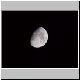 mond 20 mond 20