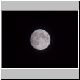mond 29 mond 29