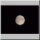 mond 59 mond 59