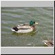 ente 10 ente 10