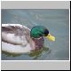 ente 19 ente 19
