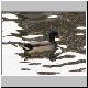 ente 26 ente 26