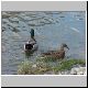 enten 02 enten 02