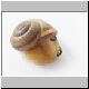 schnecke 09