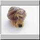 schnecke 11