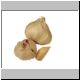 knoblauch 03